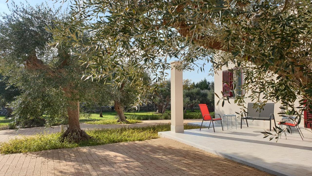 Tra Gli Ulivi Villa Putignano Eksteriør billede